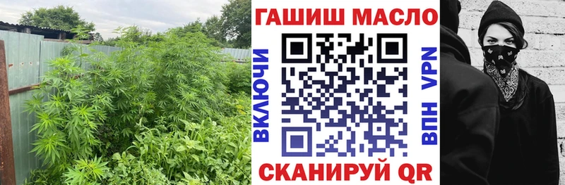 Дистиллят ТГК вейп купить закладку Шуя