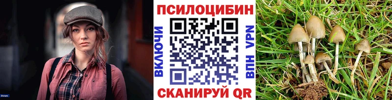 Псилоцибиновые грибы мицелий  Шуя 